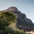 Kirstenbosch Garden