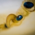 Scallop eyes