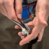 Measuring Chickadee Wing Length