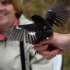 Candy Enjoys Towhee's Efforts