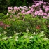 Gleaner Gardens