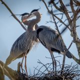 Eye to Eye