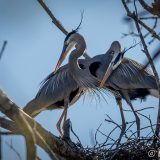 Necking