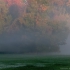 Foggy Morning