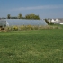 Greenhouse