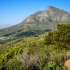 Table Mountain #2