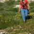 Julie Zickefoose Amid Flowers