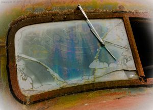 International Windshield