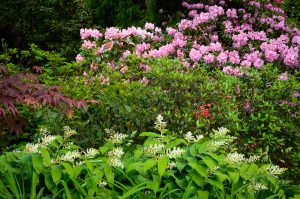 Gleaner Gardens