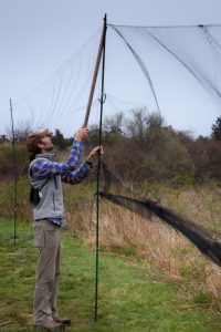 Raise Banding Nets