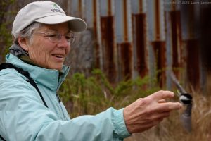 Jana Releasing Chickadee
