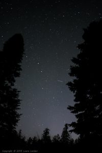Big Dipper 1 4.0 sec @ f/1.8, ISO 6400