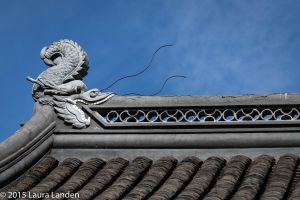 Dragonfish on Roof
