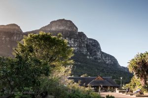 Kirstenbosch Garden