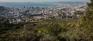 Cape Town from Table Mountain