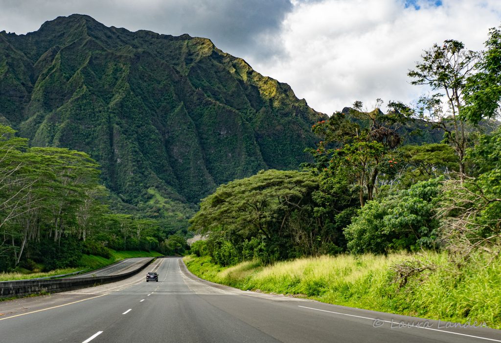 Along H3 #1