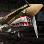 At the Air Museum